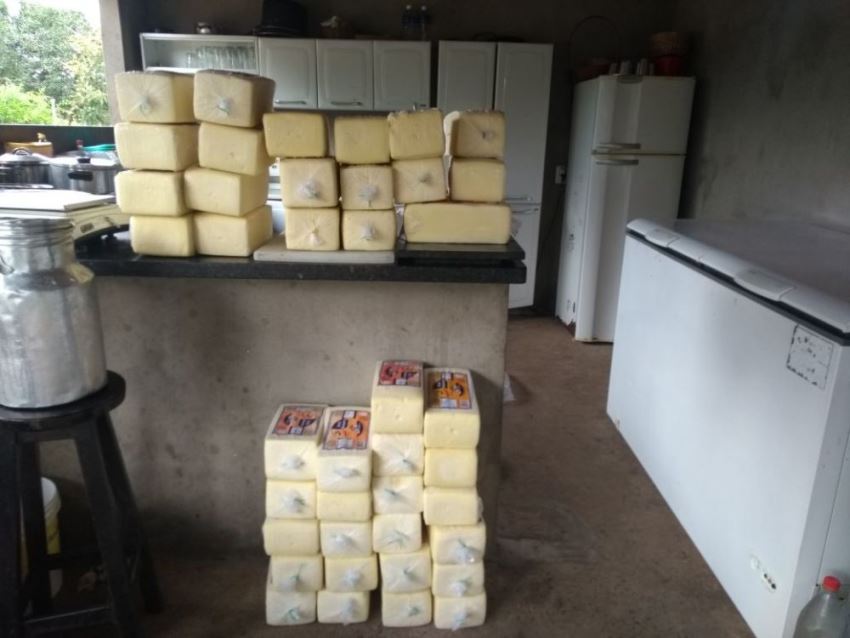 Mais de 900 quilos de queijos impróprios para consumo são apreendidos no norte do Estado- Notícia 1